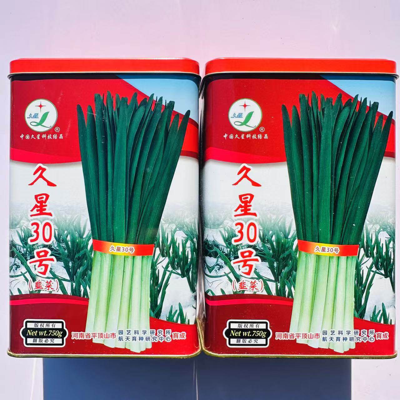 久星30号韭菜种子冬季不休眠新品种河南平顶山韭菜种籽特抗寒抗病