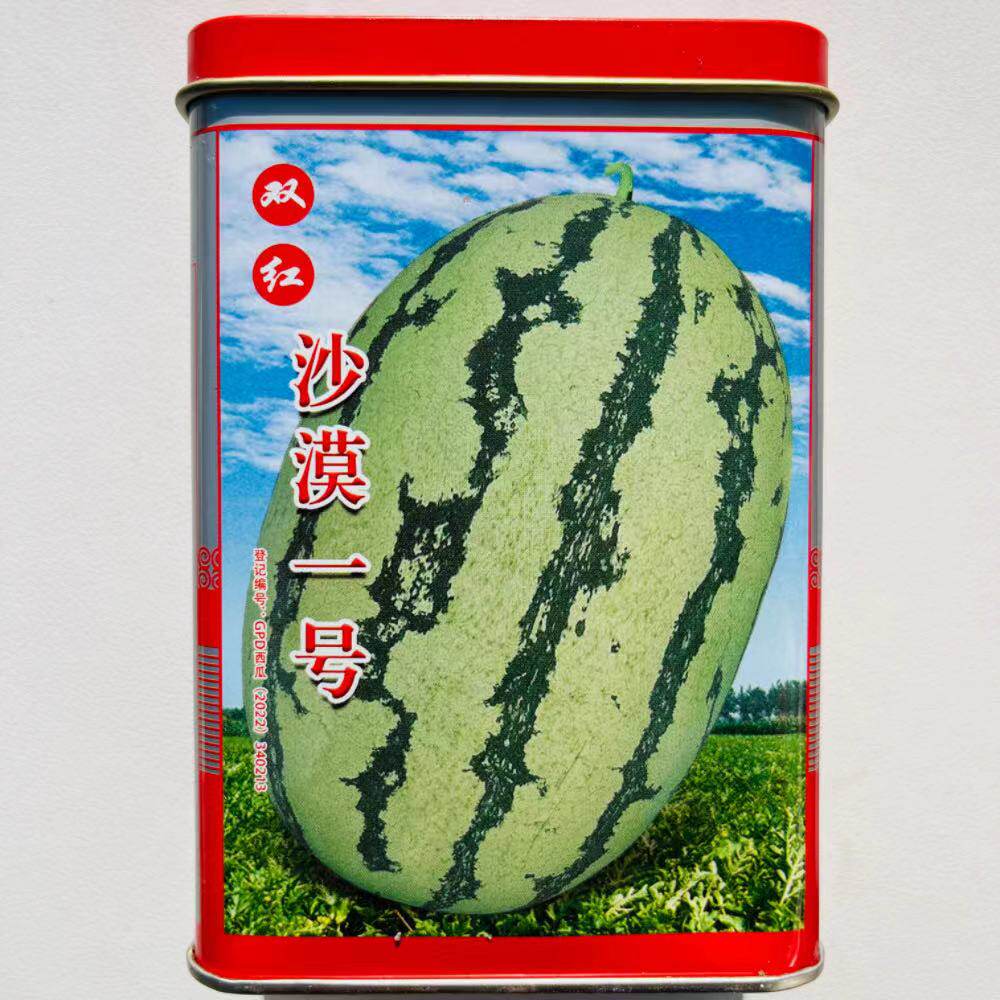 科望双红沙漠一号西瓜种子大红瓤肉质细脆皮薄大果型西瓜种籽