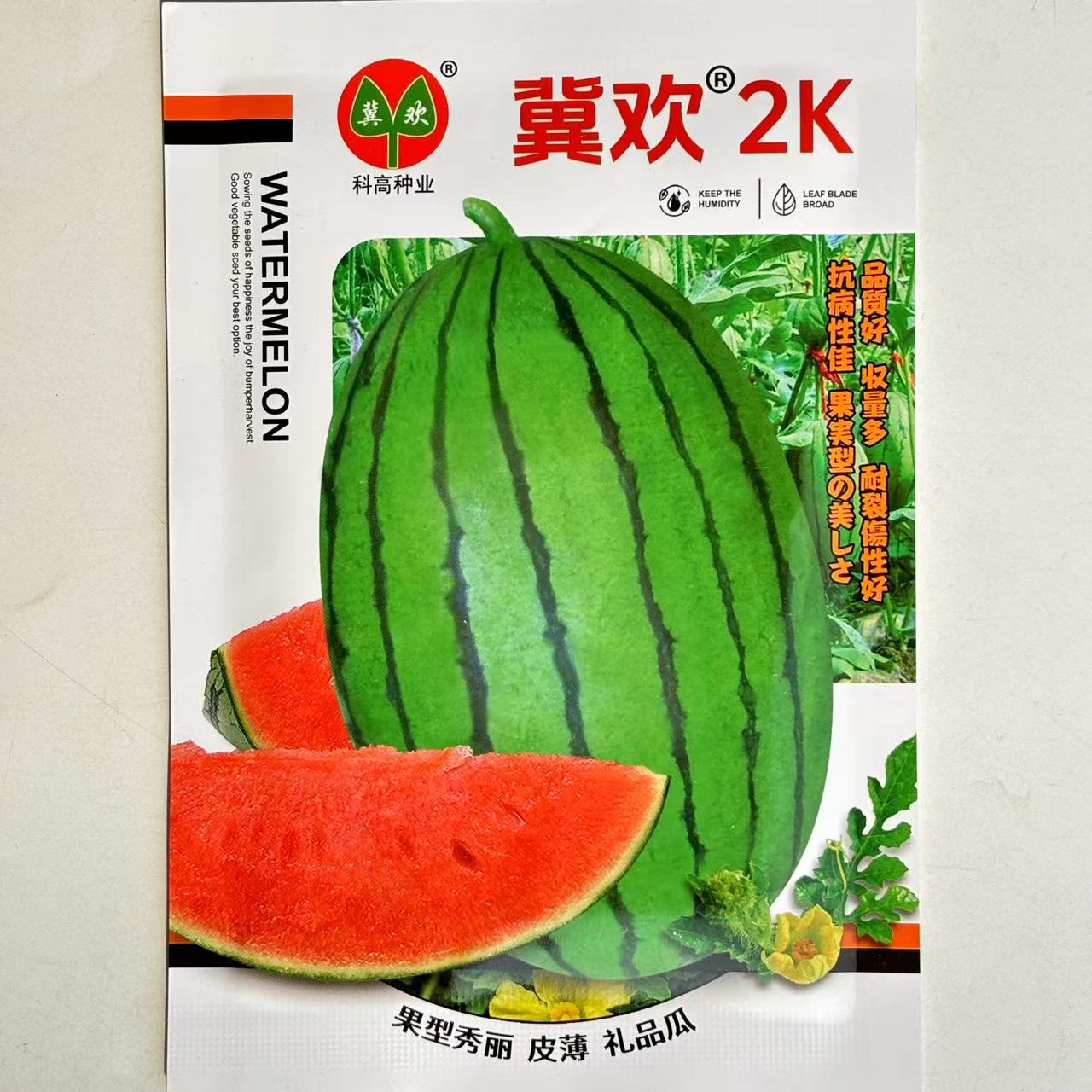 冀欢2K西瓜种子早熟椭圆小西瓜礼品西瓜种籽皮薄肉红甜美春季播种