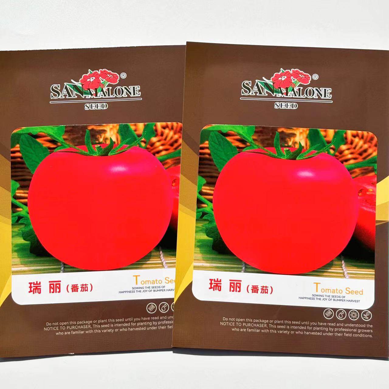 瑞丽西红柿种子粉红大果沙瓤无菌高产抗病耐寒蕃茄盆栽蔬菜种籽