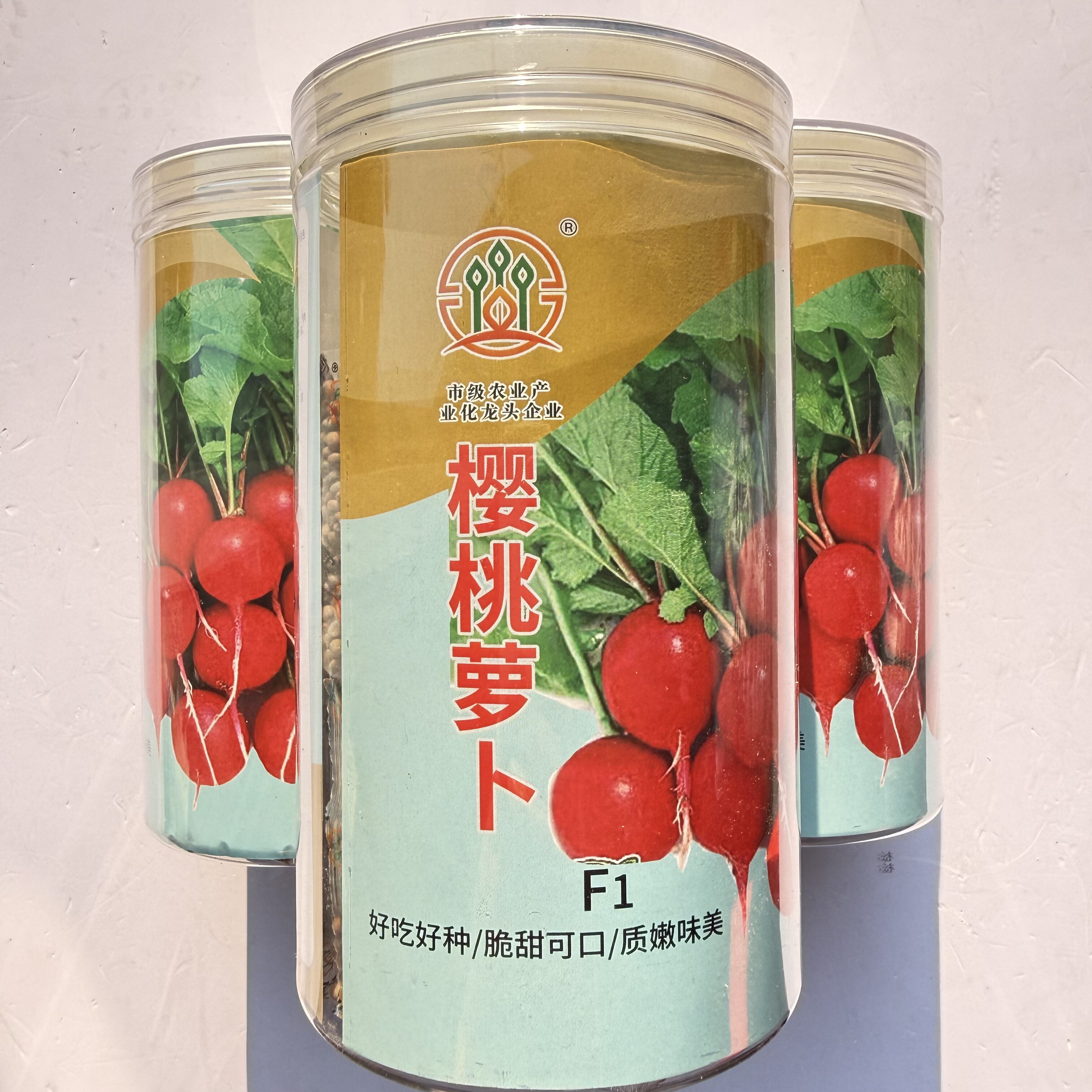 四季樱桃萝卜水果萝卜种子红皮白肉小萝卜种子各种萝卜种子大全