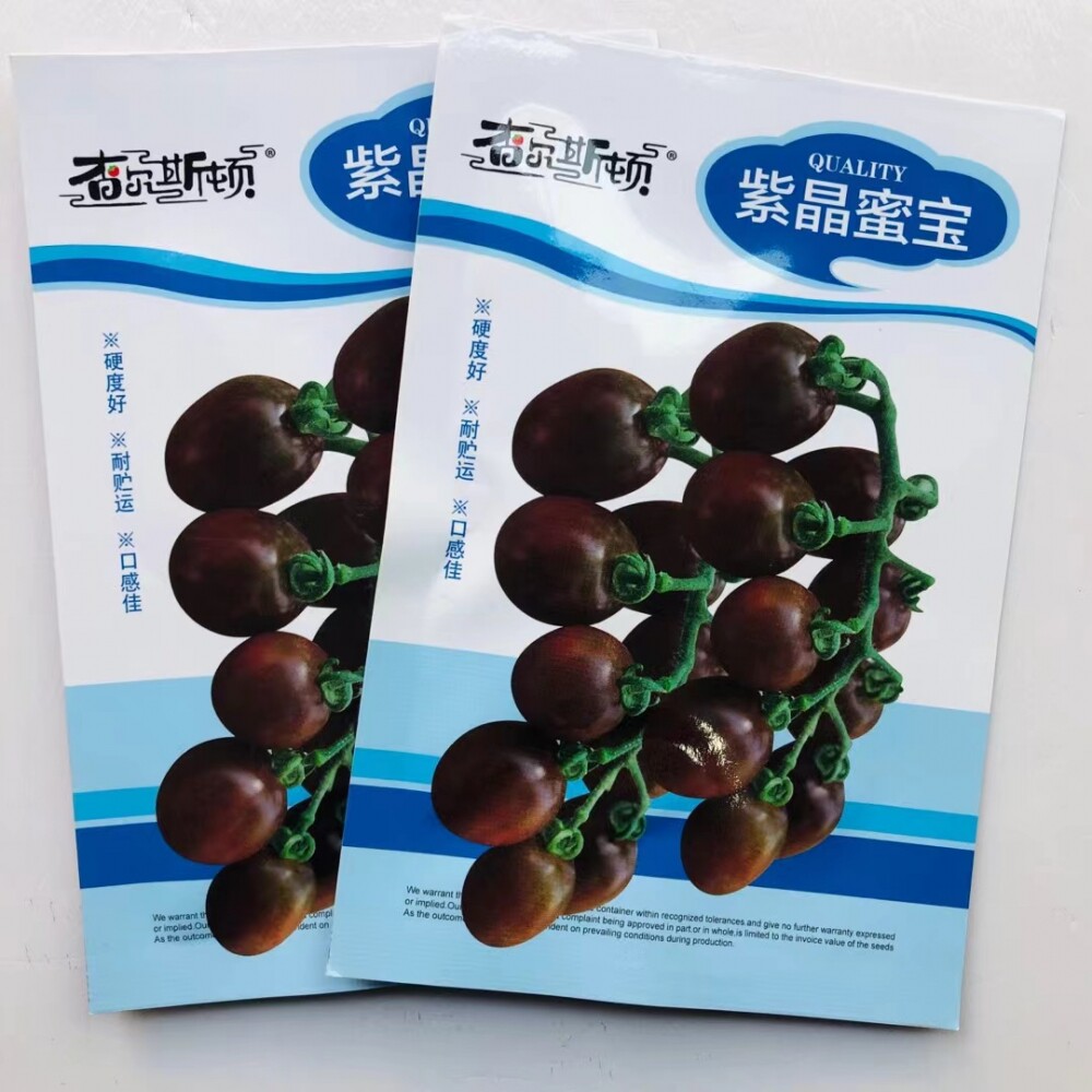 紫晶蜜宝铁皮柿子种子无限生长番