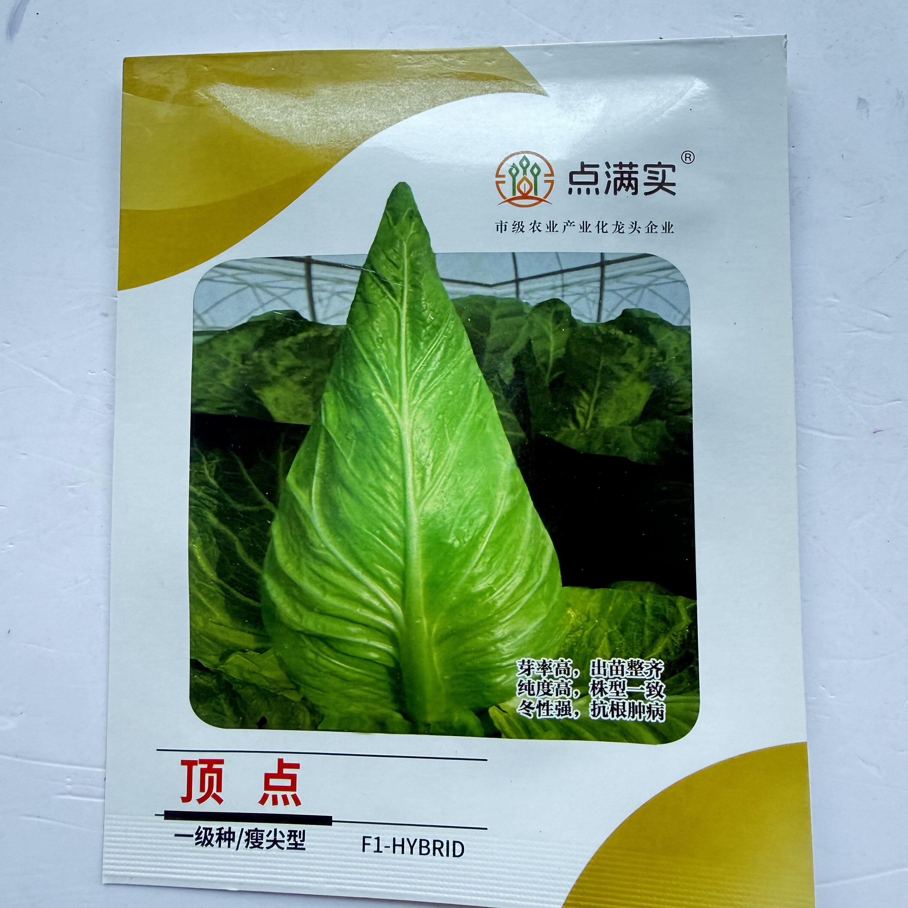 顶点牛心甘蓝种子早中熟春丰甘蓝种籽耐寒性强耐抽苔耐裂春秋季播