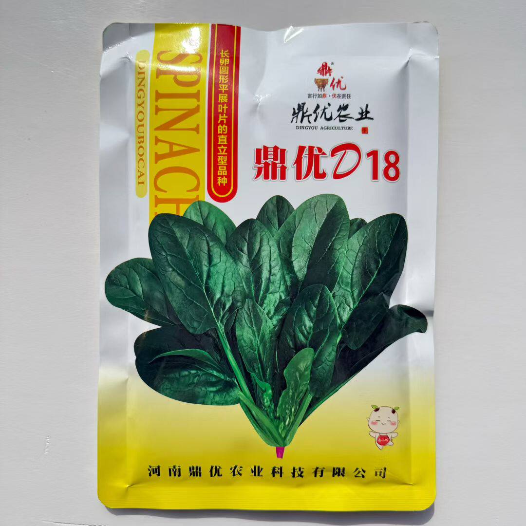 鼎优D18菠菜种子抗热耐寒耐湿圆叶红根菠菜种籽春秋菠菜种孑大田