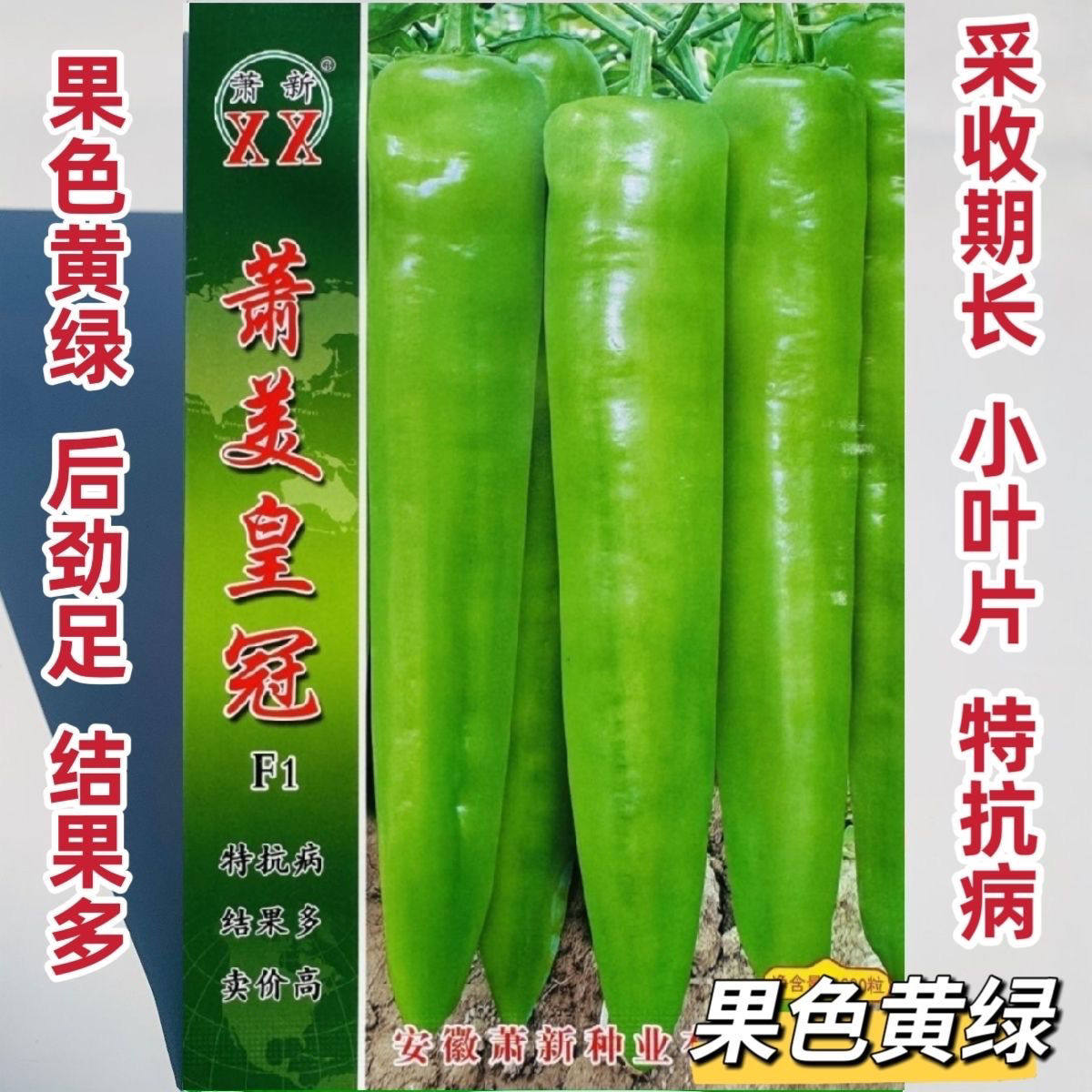 萧美皇冠辣椒种子早熟大果黄绿皮牛角椒种籽肉厚顺直特抗病春秋播