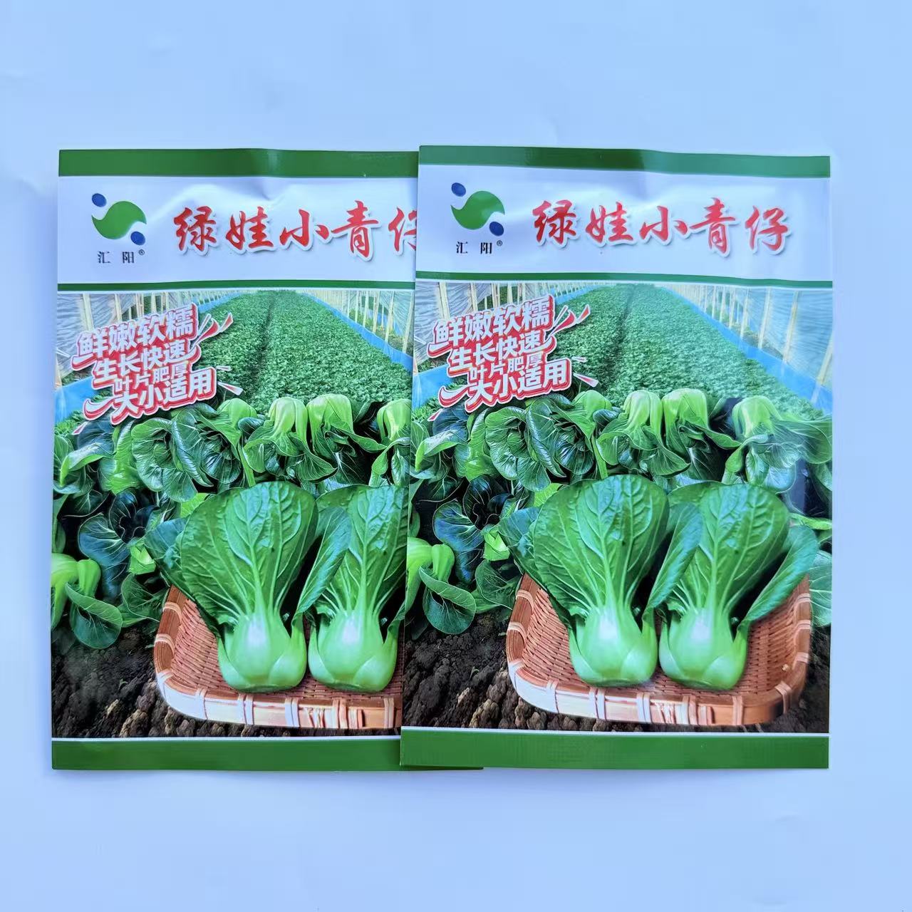 上海汇阳绿娃小青仔迷你小青仔露天霜打矮脚菜青宁夏高原青菜种子