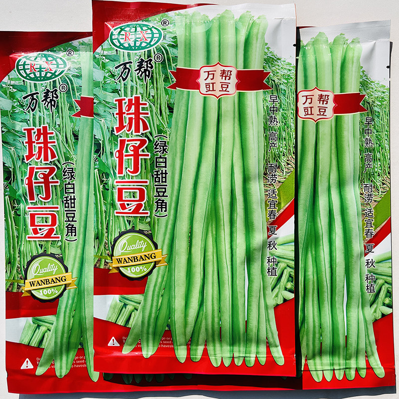珠仔豆种子大肉甜豆角种籽八月珠仔豆角子种豇豆春秋蔬菜种孑正品