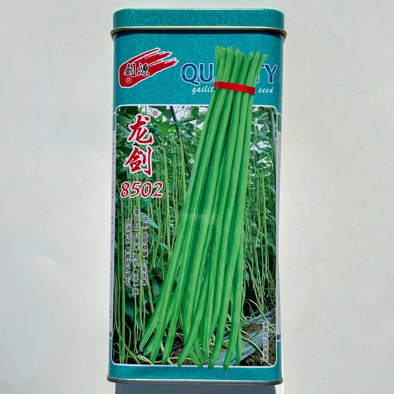 龙剑8502中熟长豆角种子翠绿条荚长80-85cm条形整齐口感微甜豆角