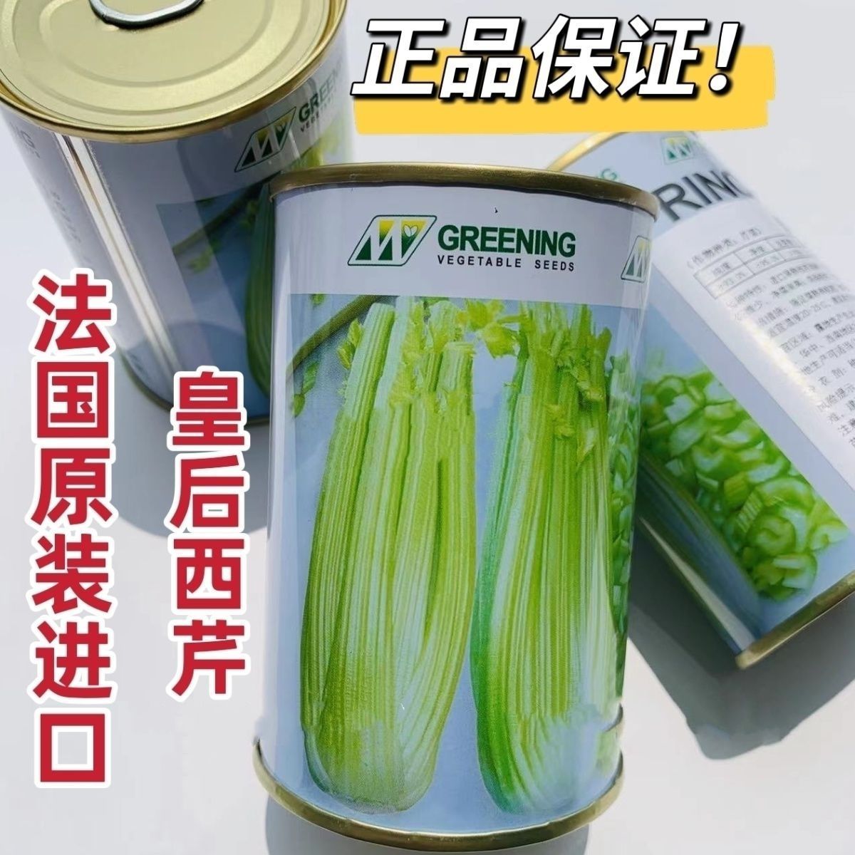 正牌法国皇后芹菜籽 正品进口皇后芹菜种子籽种大西芹籽南北方种