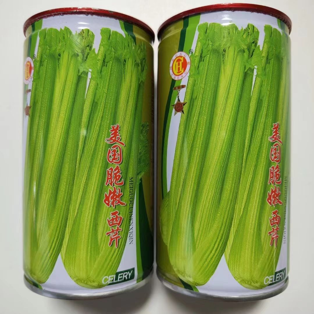 美国脆嫩西芹种子罐装耐热耐寒西芹种子芹菜籽高产进口四季西芹籽