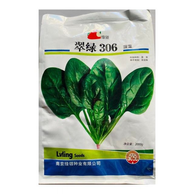 南京绿领翠绿306杂交菠菜种子抗热耐寒圆叶菠菜春夏秋蔬菜孑2公斤