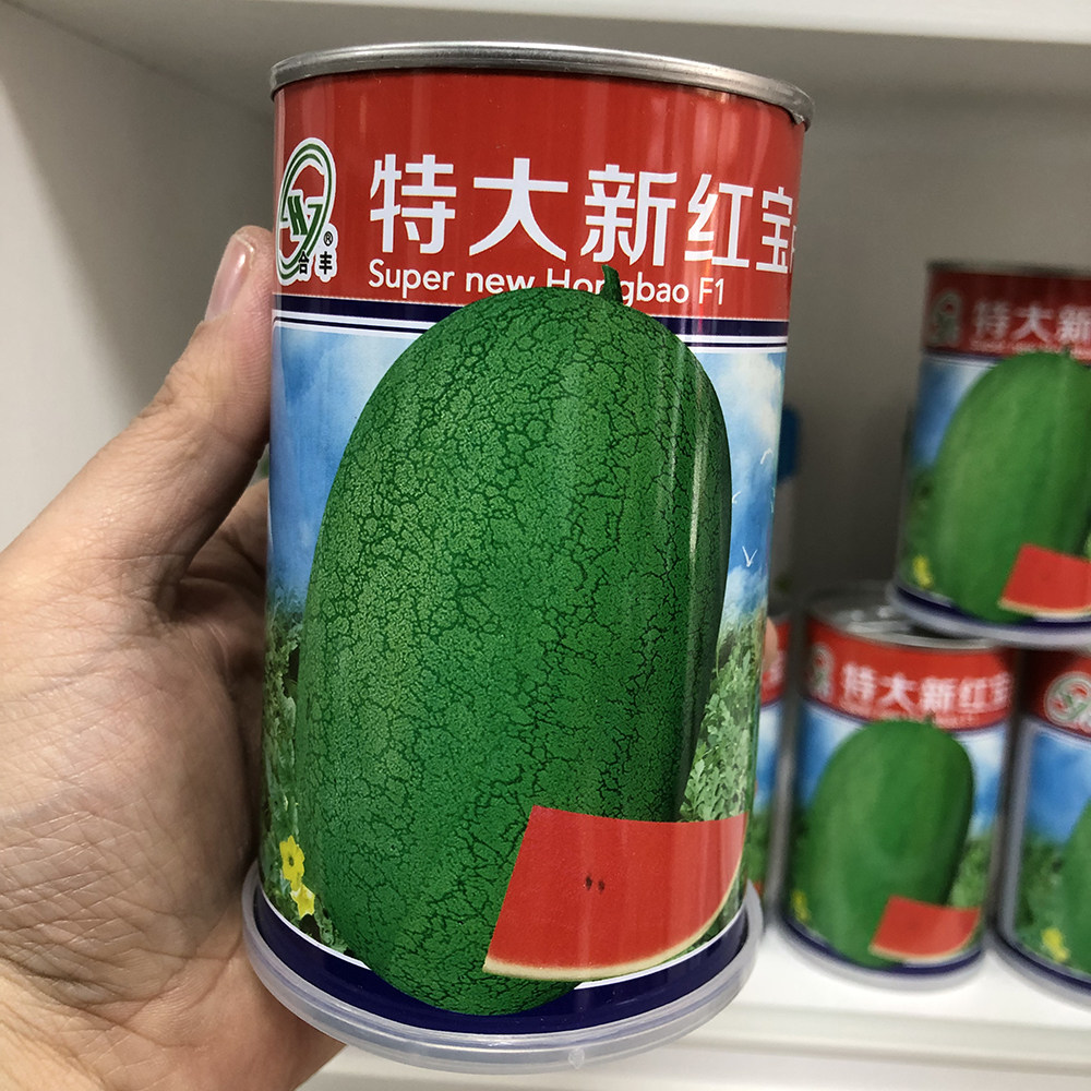 新红宝西瓜种子高产花皮特大老品种懒汉懒人夏季耐热西瓜种籽孑