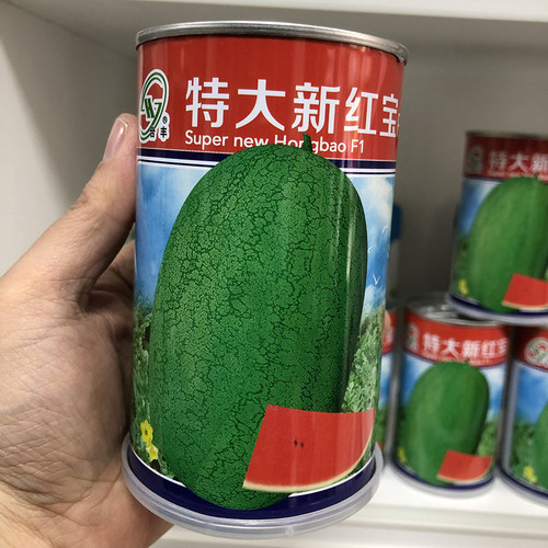 新红宝西瓜种子高产花皮特大老品种懒汉懒人夏季耐热西瓜种籽孑
