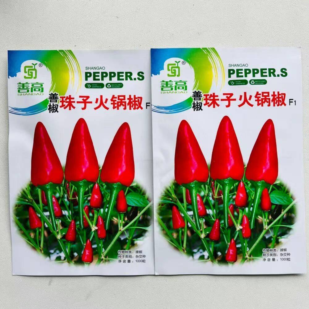 善辣珠子火锅椒辣椒种籽遵义本地虾子大果朝天椒辣椒种子蔬菜种孑