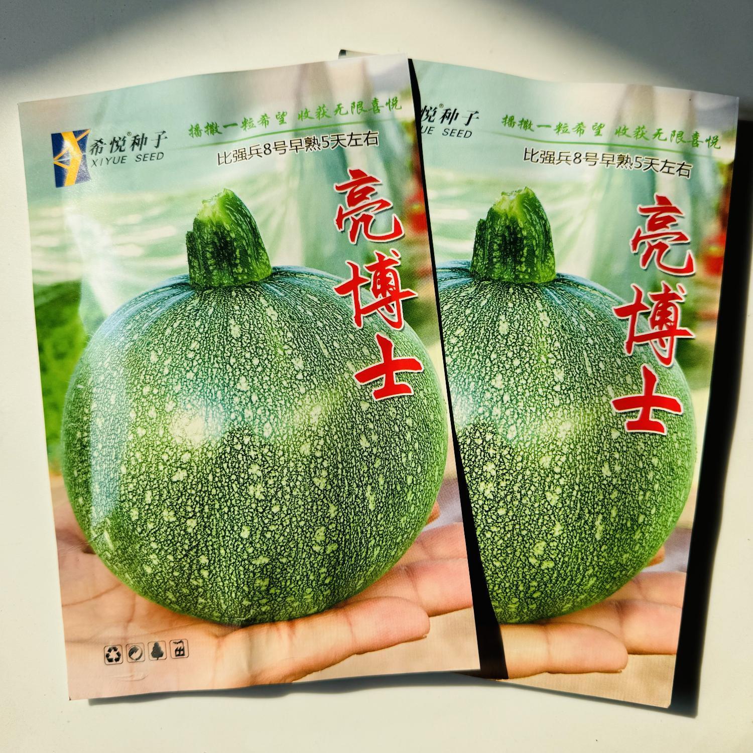 亮博士无蔓圆西葫芦种子早熟花皮小嫩南瓜籽短蔓圆角瓜小青瓜种籽