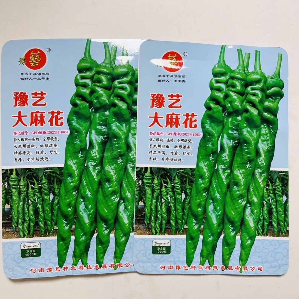 豫艺大麻花全螺型螺丝椒种子大果