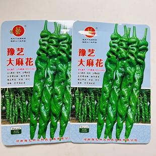 豫艺大麻花全螺型螺丝椒种子大果带麻点全螺旋陇椒种子螺丝椒种籽