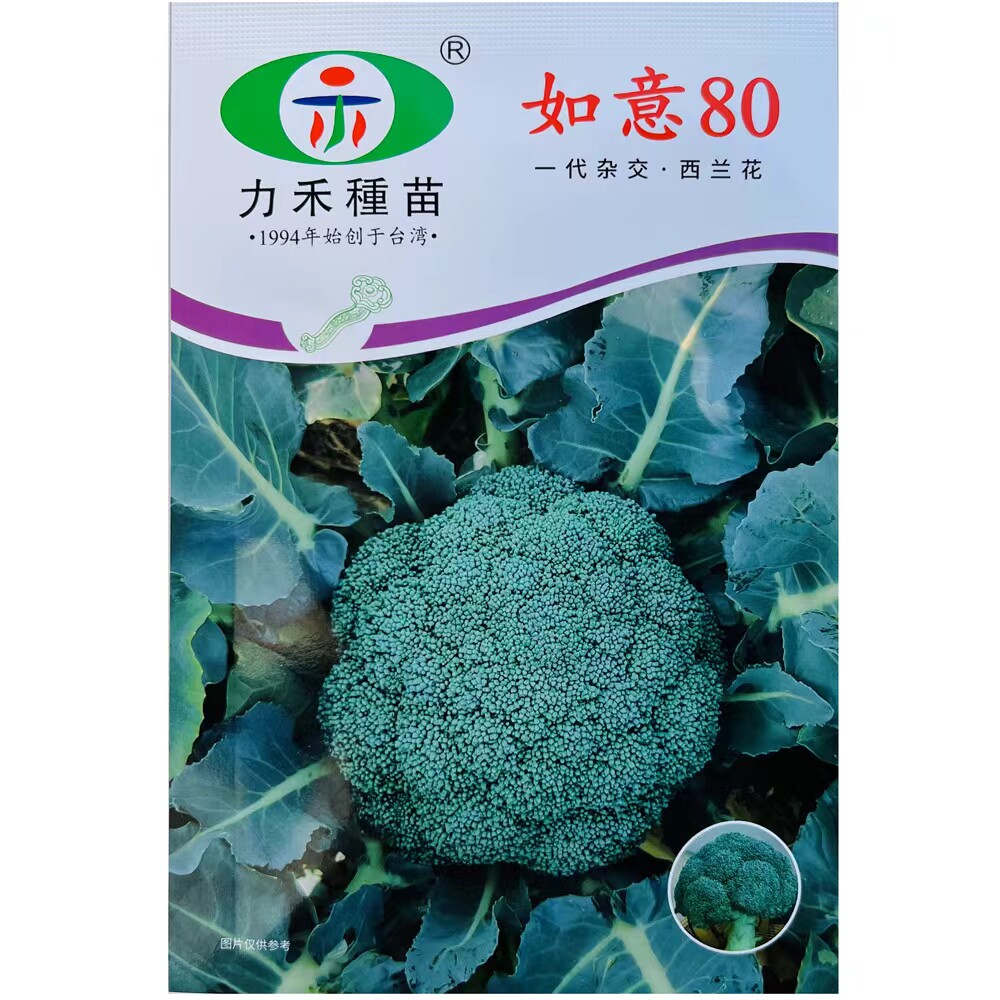 如意80-2000粒西兰花杂交高产种子籽青绿花菜甘蓝椰花菜大田正品