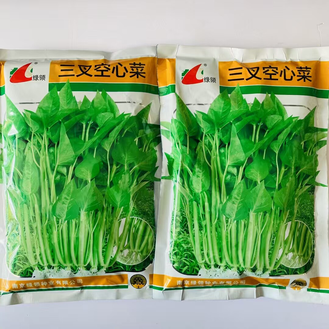 三叉空心菜种子高产耐热耐湿蕹菜通心菜种籽春夏秋季蔬菜种子孑
