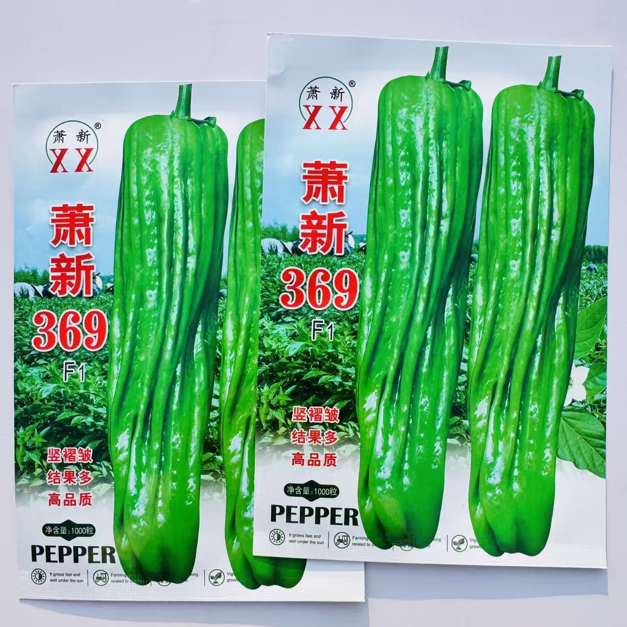 萧新369 辣椒种籽高产抗病香辣顺直大果薄皮长灯笼泡椒种子1000粒