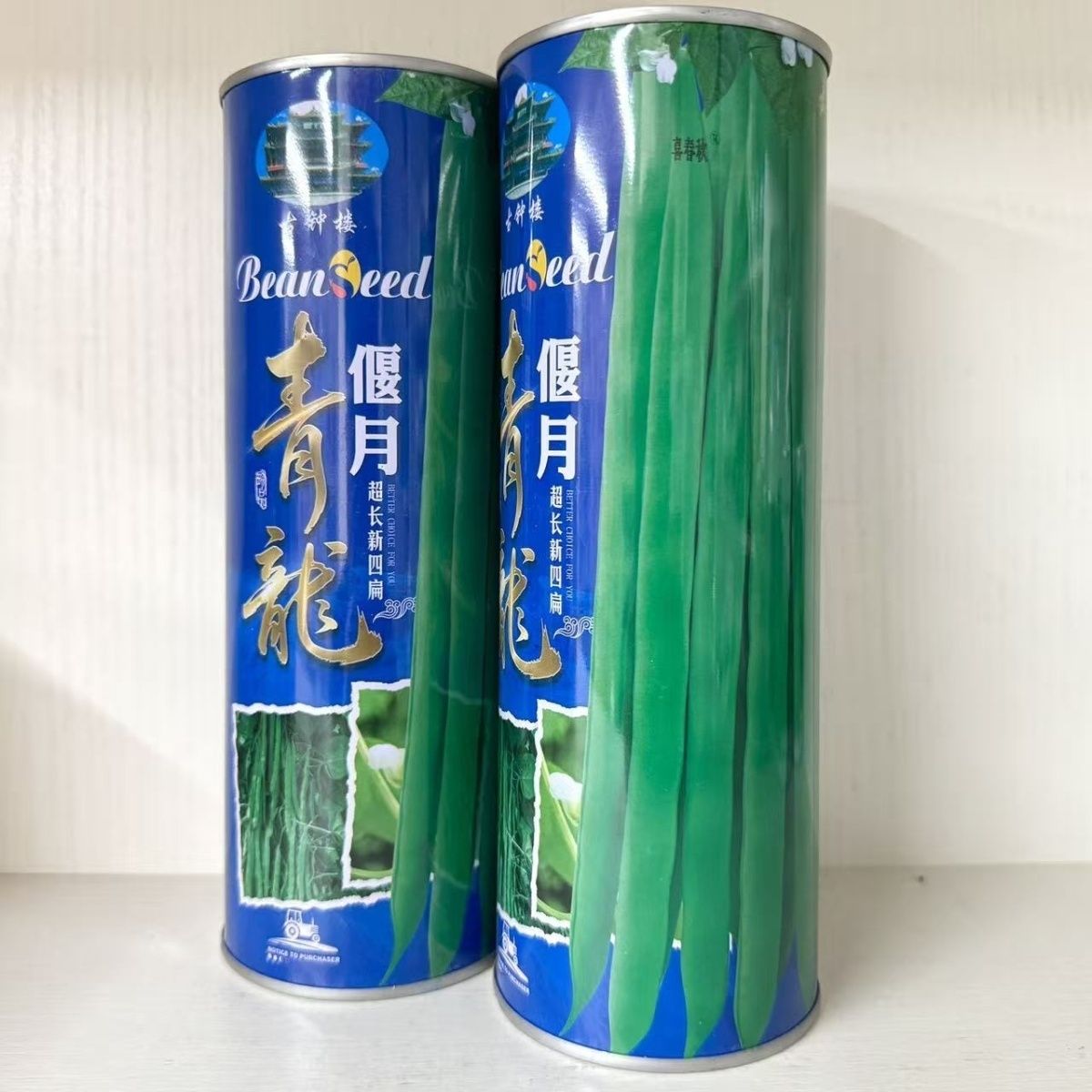 青龙偃月四扁豆角种子早熟型无纤维扁条高产基地四季种植豆角种子