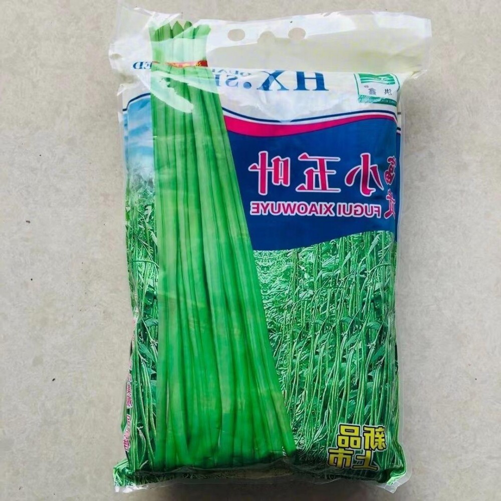 小五叶特长豆角种子摘不败豇豆种籽春季高产蔬菜种孑四季豇豆种T