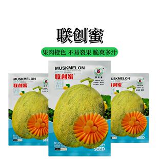 【只卖真货】联创蜜甜瓜种子新疆联创种业哈密瓜新品种哈密瓜籽种
