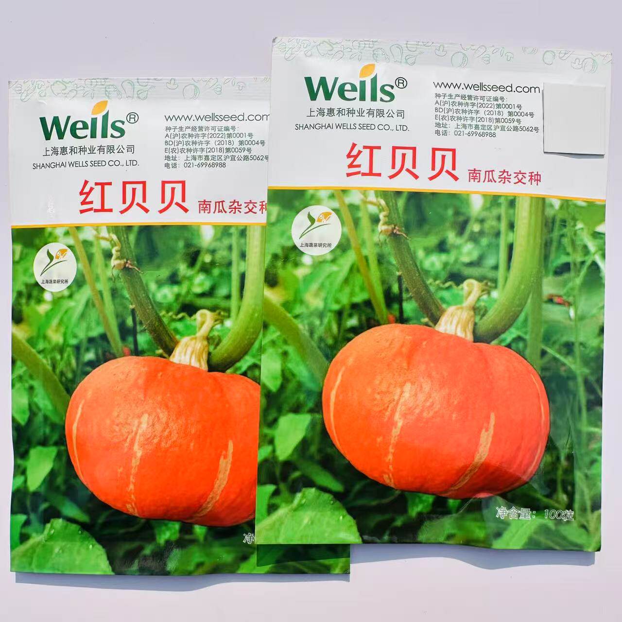 上海惠和红贝贝进口南瓜种子板栗高产香甜蔬菜种子贝贝板栗南瓜