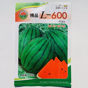 精品L600西瓜种子高糖耐裂小型礼品西瓜种籽超甜l600西瓜种籽早春