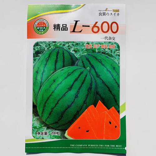 精品L600西瓜种子高糖耐裂小型礼品西瓜种籽超甜l600西瓜种籽早春