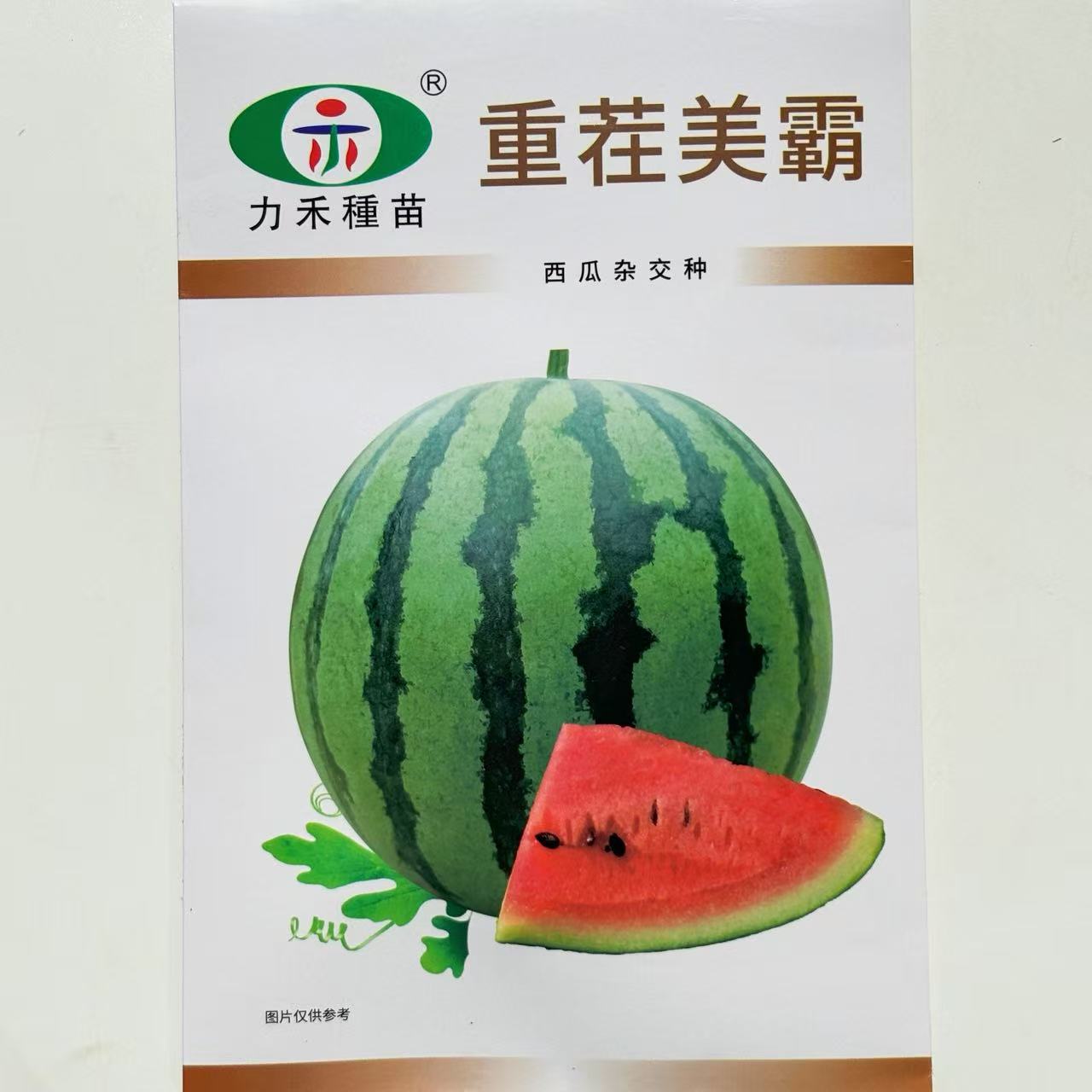 重茬美霸西瓜种子甜度高薄皮耐裂圆形红瓤西瓜种子抗重茬抗病西瓜