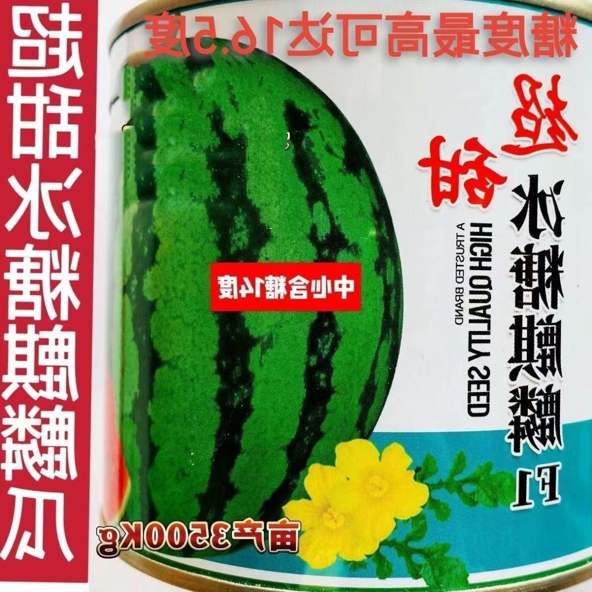 冰糖麒麟瓜西种子早熟产量