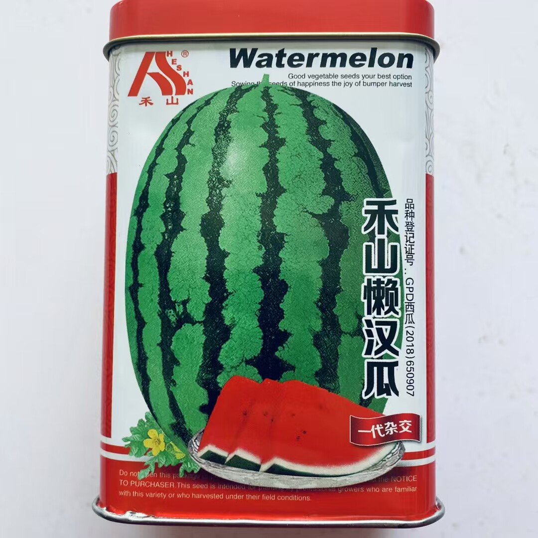 禾山懒汉瓜西瓜种子籽大果椭圆形果肉大红肉质细腻多汁爽口西瓜种