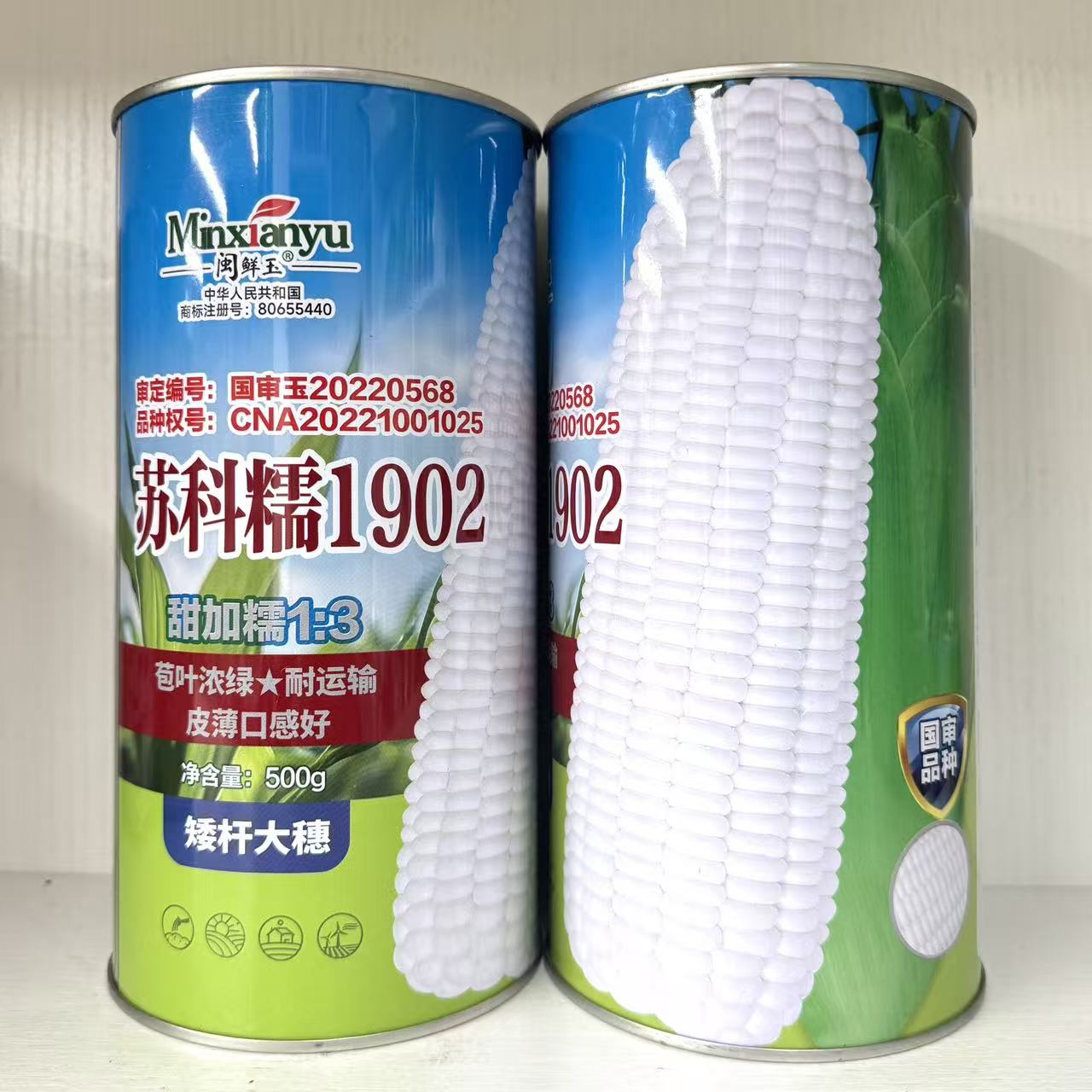 苏科糯1902甜加糯玉米种子早熟苞谷白甜糯大棒皮薄口感好鲜食玉米