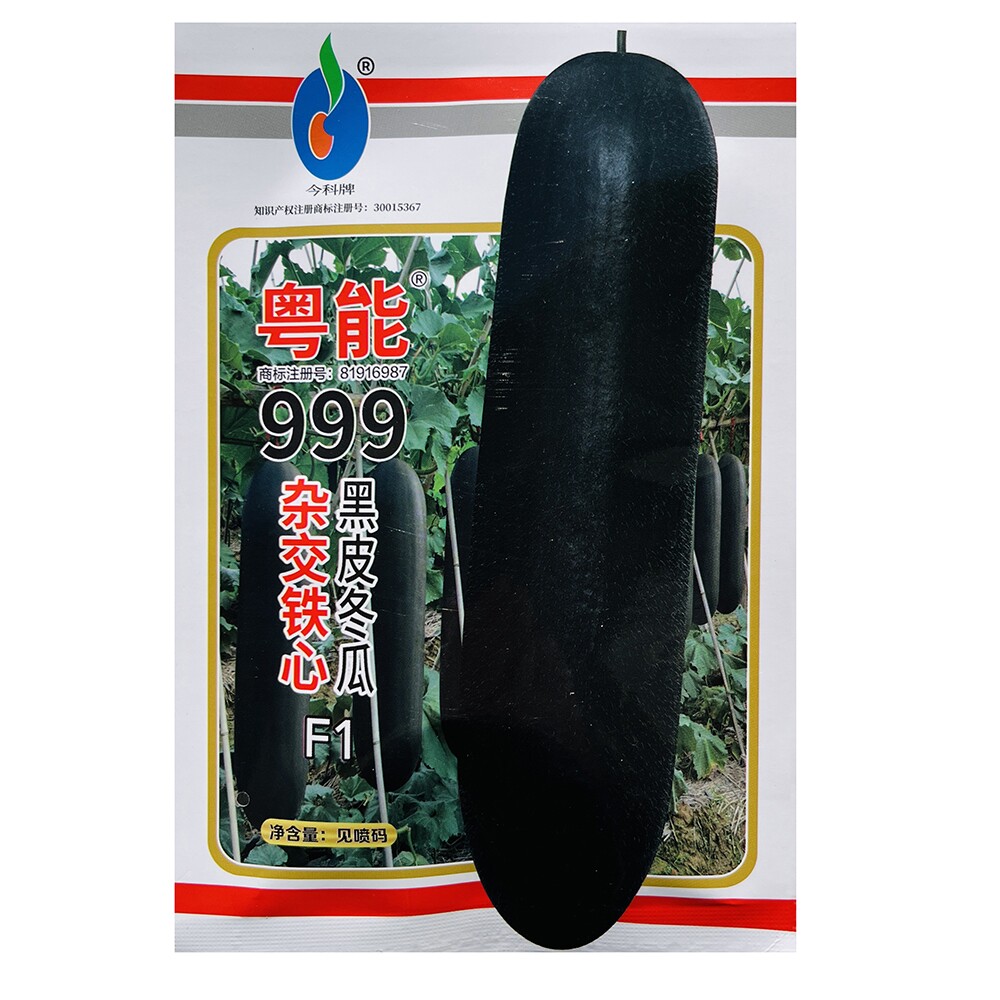 粵能999黑皮大冬瓜种子长条型铁心大冬瓜种特大巨型冬瓜种籽高产