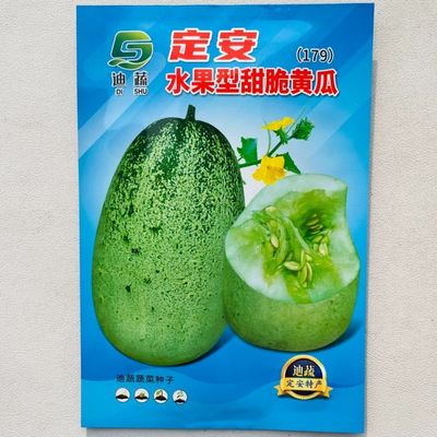 定安特产水果型甜脆黄瓜种子抗病高产脆甜爽口品质佳好吃小黄瓜籽