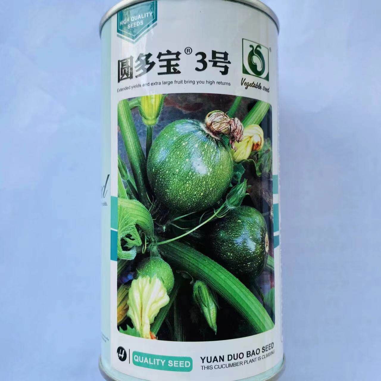正品圆多宝3号短蔓矮生型西葫芦种子高产春秋两季短蔓西葫芦种籽