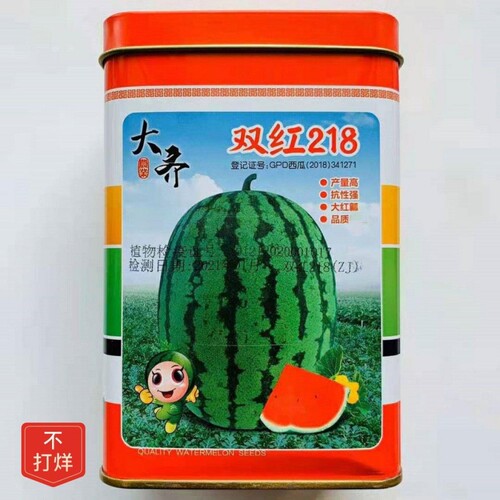 大齐双红218西瓜种子中熟椭圆形