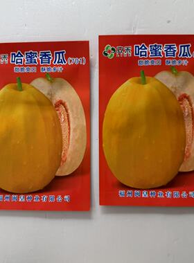 哈蜜香瓜椭圆形甜瓜种子,皮淡黄色肉桔红色味香甜口感好产量高。
