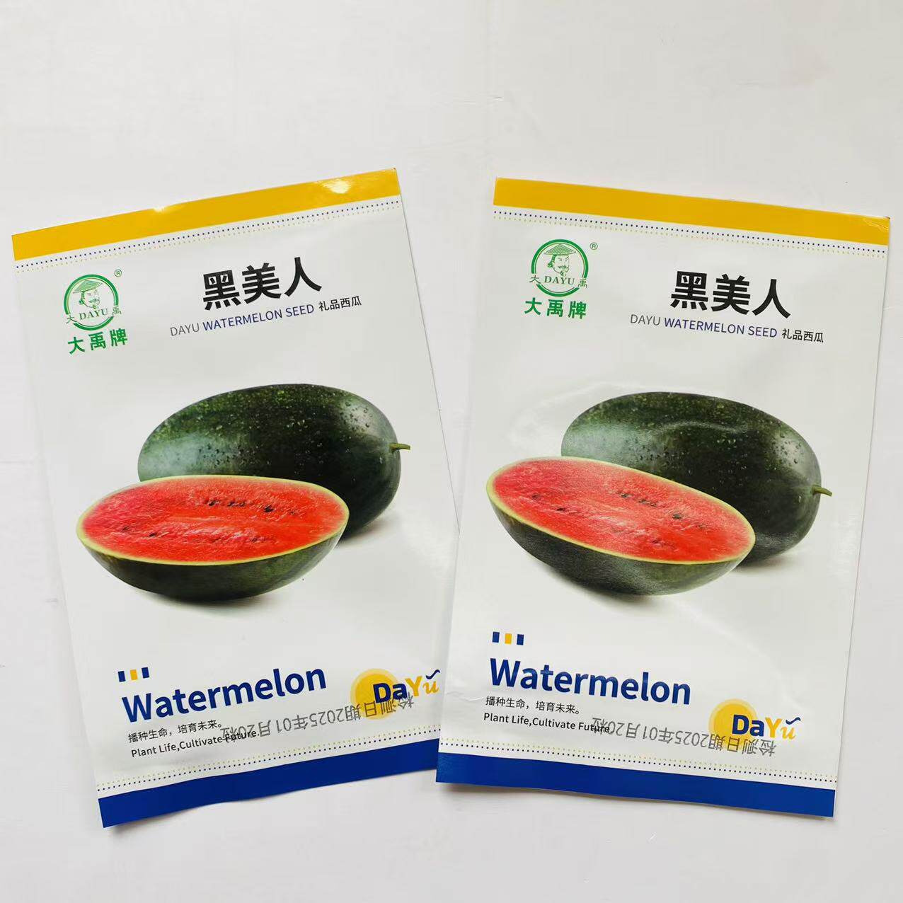 黑美人西瓜种子籽早熟杂交礼品西瓜种子抗病高产不易裂果蔬菜种子