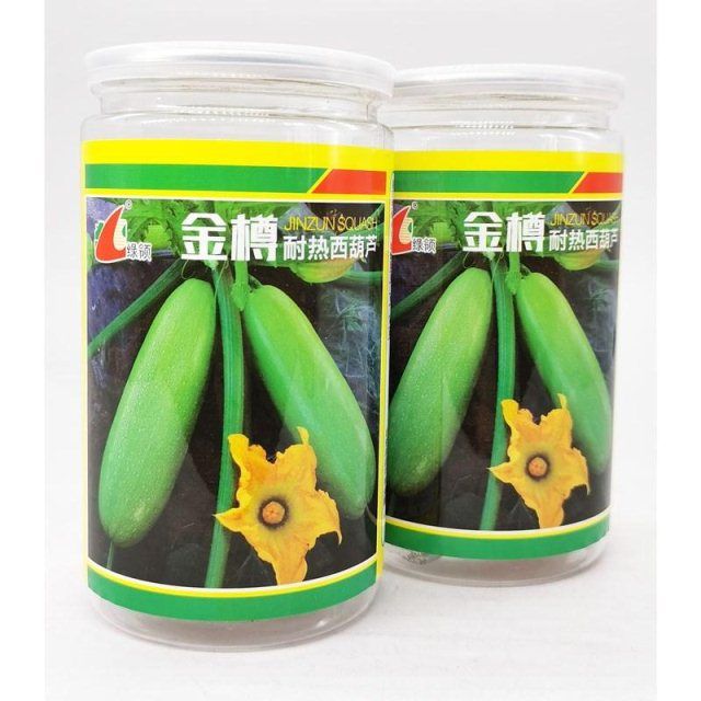 绿领金樽西葫芦种子四季早熟高产新品种耐热春夏大田西葫芦瓜种子