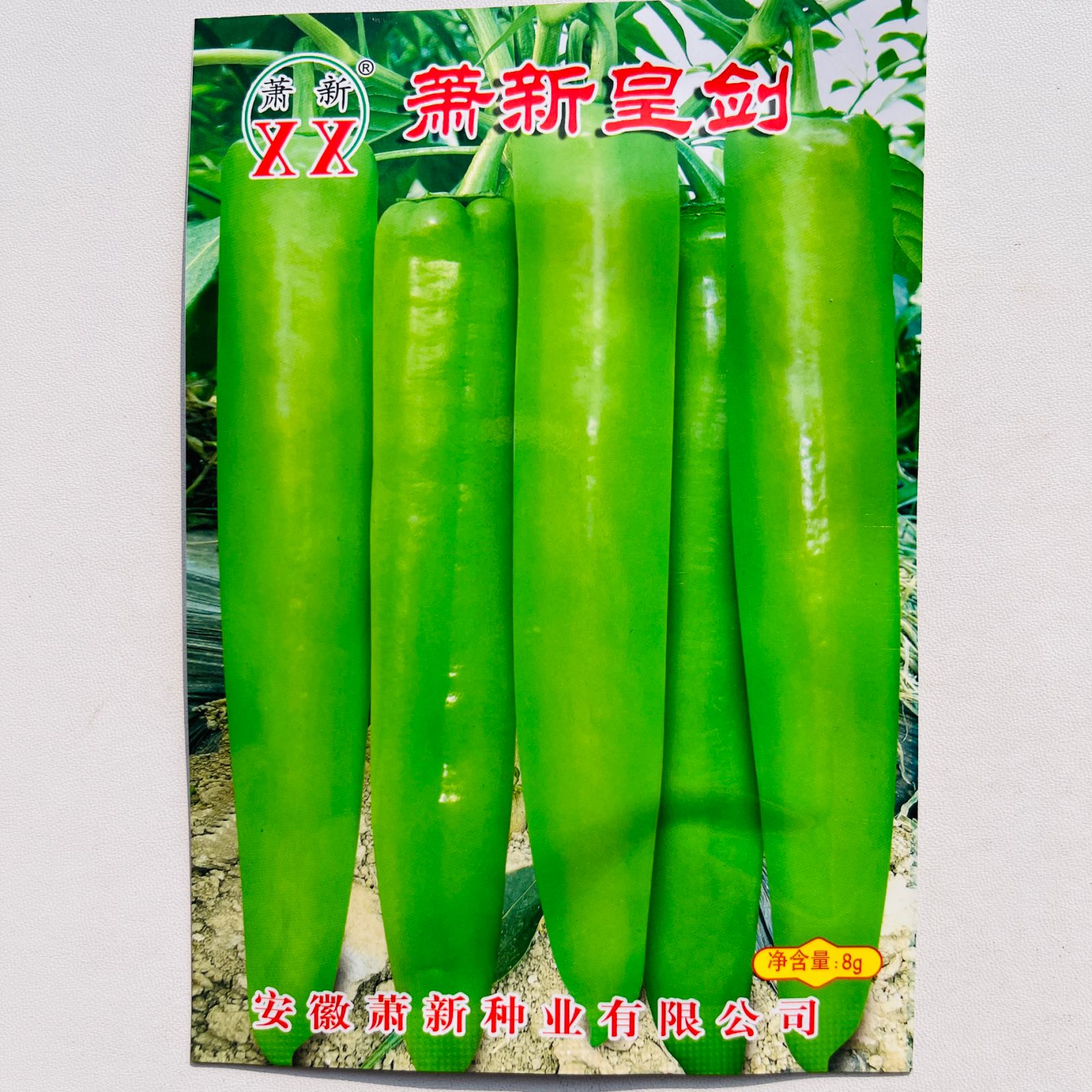 萧新皇剑大椒加长型辣椒种子早熟黄绿皮尖椒籽中辣耐热高产大田孑