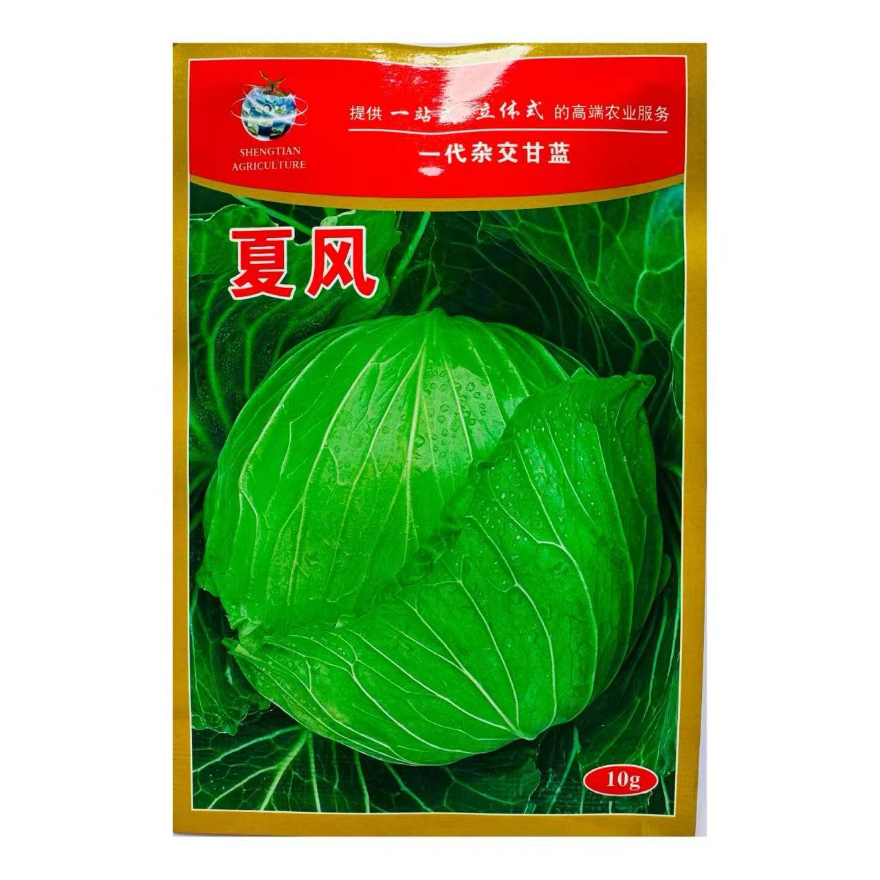 夏风包菜种子扁球形包心甘蓝种子包包菜莲花白种子春秋包头菜种孑