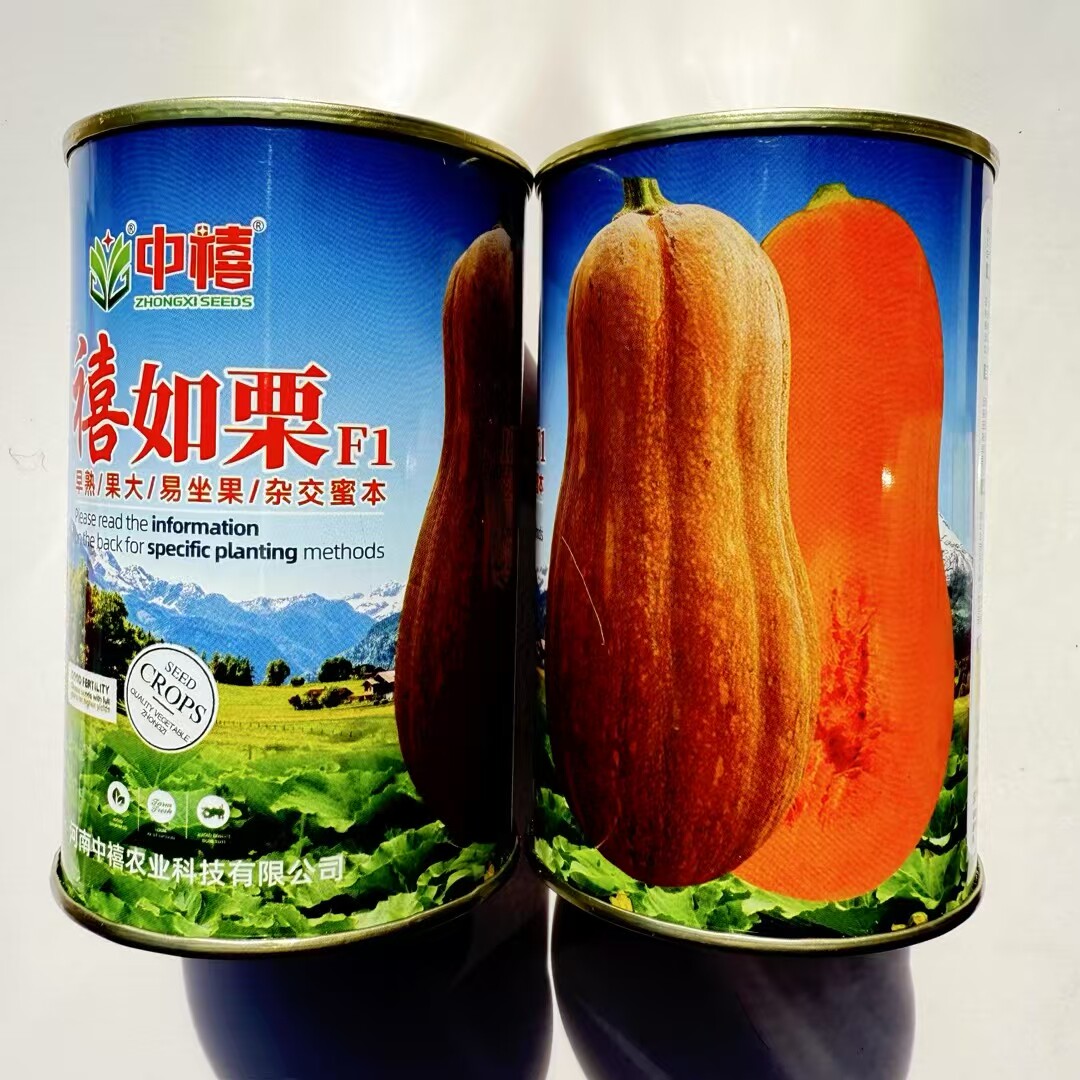 禧如栗蜜本老南瓜种子高产抗病耐热耐湿粉糯香甜农家田园春秋播种