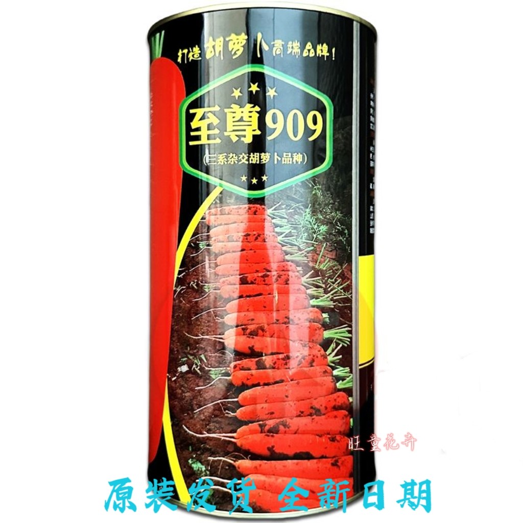 进口至尊909胡萝卜种子三系杂交胡萝卜罐装耐寒耐热春秋播三红高