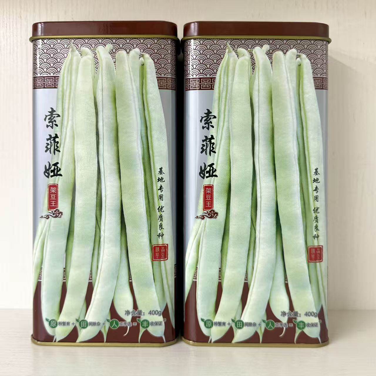索菲娅架豆王种子中熟大连白芸豆扁圆豆角种籽丰产抗病四季豆无筋