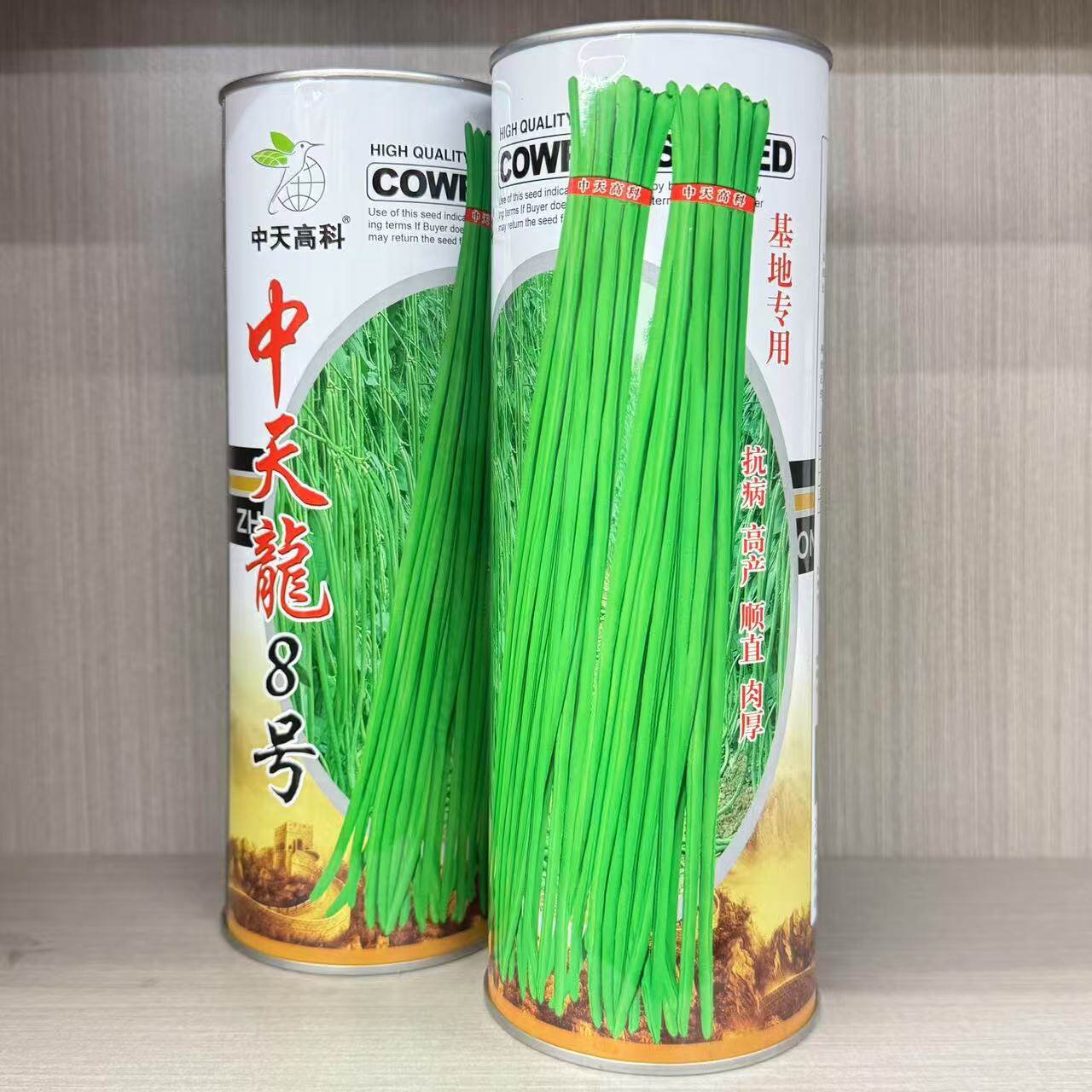 中天龙8号豆角种子长 豇豆种子 翠绿条豆角 四季豆蔬菜种子春季播