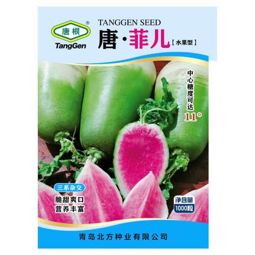 心灵美红心萝卜新鲜西瓜甜脆阳台心里美罗卜脆甜雕刻用满堂红紫心