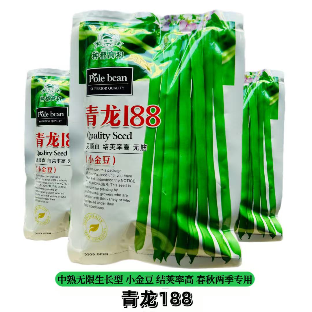 种都小金豆四季豆架豆角种子批发红花青龙188早熟高产耐热耐寒1斤