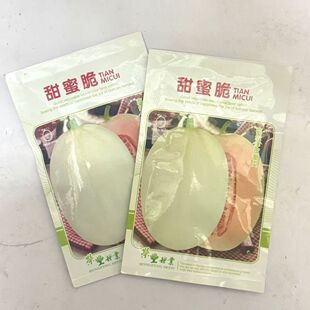 甜蜜脆瓜种子籽四季播高产超甜早熟南方蜜脆白皮红肉香瓜种子春秋